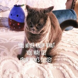 👠Unlisted Items🪭